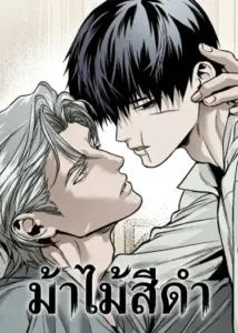 ม้าไม้สีดำ Black Steed