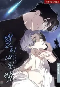 A Night When the Star Fell คืนที่ดวงดาวร่วงหล่น