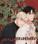 Pomegranate ทับทิมสีชาด